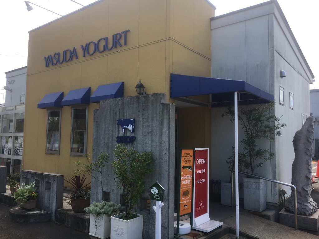 Yasuda Yogurt